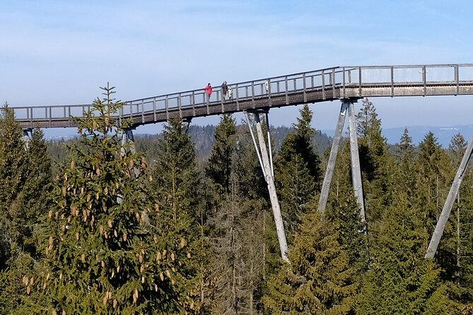 Tree Top Walk in Slovakia & Zakopane Private Tour From Krakow - Itinerary