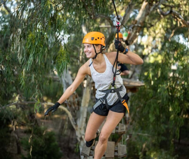 TreeClimb Adelaide: Thrilling Climb For Adventurers - The Challenge and the Rewards