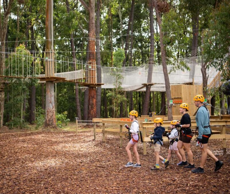 TreeClimb Kuitpo Forest: Exciting Treetop Climbing Adventure - An Authentic Look at the Experience