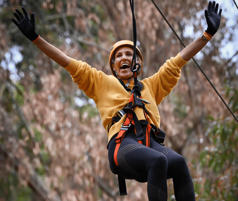 TreeClimb Kuitpo Forest: Exciting Treetop Climbing Adventure - Good To Know