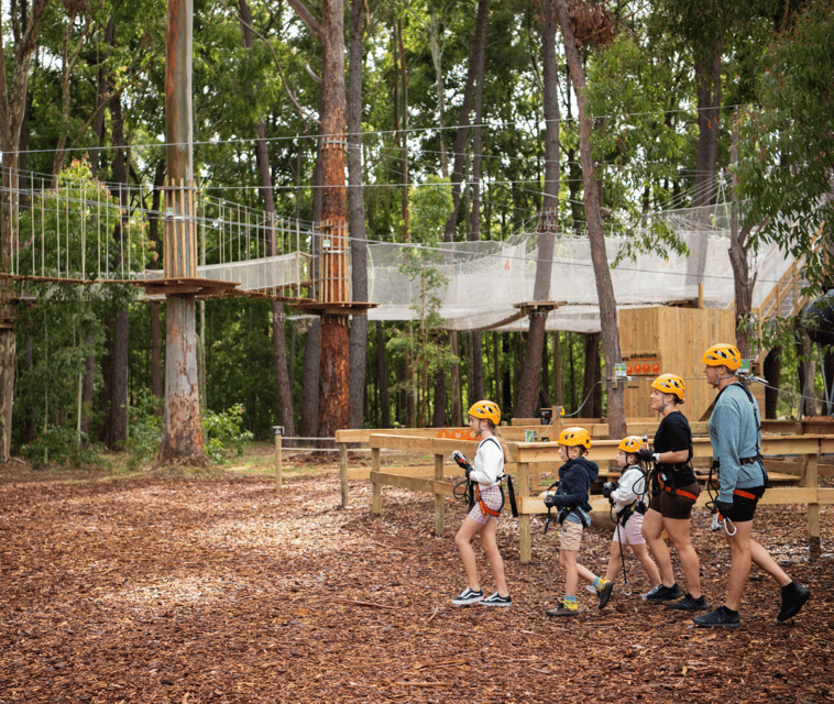 TreeClimb Kuitpo Forest: Exciting Treetop Climbing Adventure - Navigating the Course: What To Expect