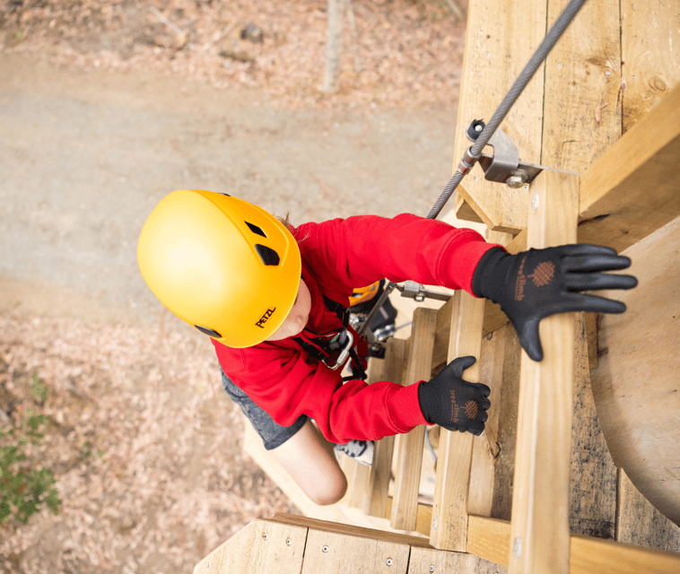 TreeClimb Kuitpo Forest: Exciting Treetop Climbing Adventure - Authentic Reviews and Insights