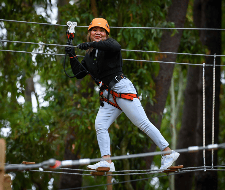 TreeClimb Kuitpo Forest: Exciting Treetop Climbing Adventure - Who Will Love This Tour?
