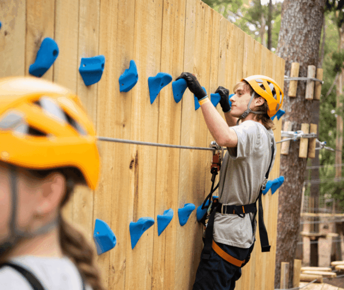 TreeClimb Kuitpo Forest: Exciting Treetop Climbing Adventure - The Sum Up