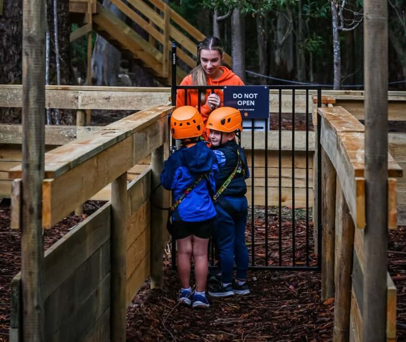 TreeClimb Kuitpo Forest: Treetop Fun For Little Adventurers - Good To Know