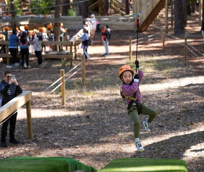 TreeClimb Kuitpo Forest: Treetop Fun For Little Adventurers - A Closer Look at the TreeClimb Experience