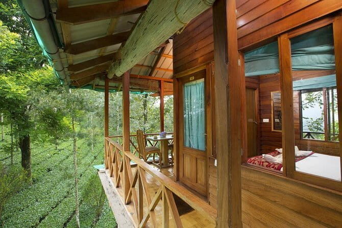 Treehouse stay in munnar - Authentic Insights from Reviews