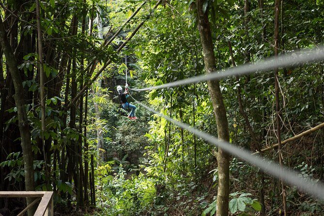 Treetop Canopy Adventure - Treetop Canopy Adventure: Soaring Through St. Lucia’s Rainforest