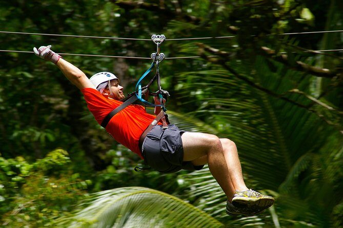 Treetop Canopy Adventure - What to Expect from the Treetop Canopy Adventure in St. Lucia