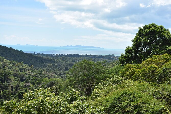 Treetop Tour Zipline Cable Rides in Koh Samui - Additional Information