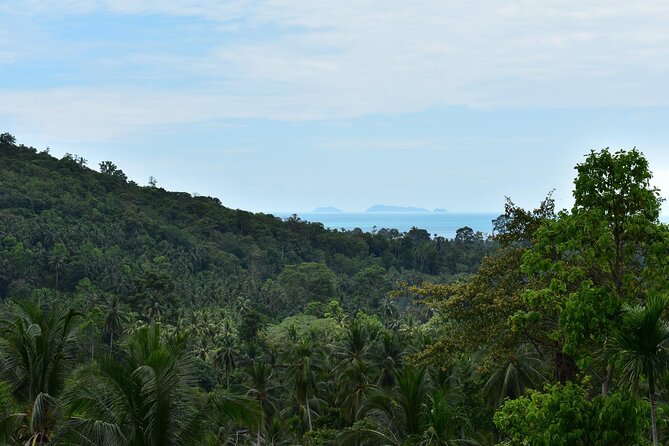 Treetop Tour Zipline Cable Rides in Koh Samui - Pricing and Terms & Conditions
