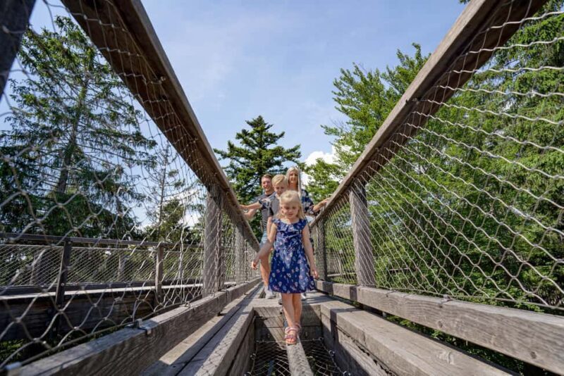 Treetop Walk Bavarian Forest: Discover the world of treetops - Good To Know