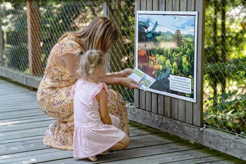Treetop Walk Bavarian Forest: Discover the world of treetops - The End of the Trail and Nearby Attractions