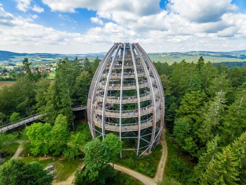 Treetop Walk Bavarian Forest: Discover the world of treetops - Practical Details: Planning Your Visit
