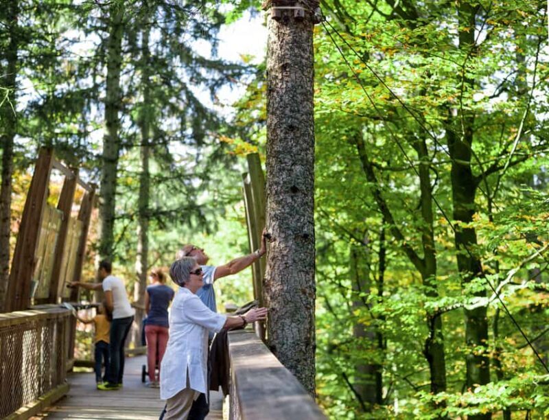 Treetop Walk Bavarian Forest: Discover the world of treetops - Final Thoughts: Who Will Love This?
