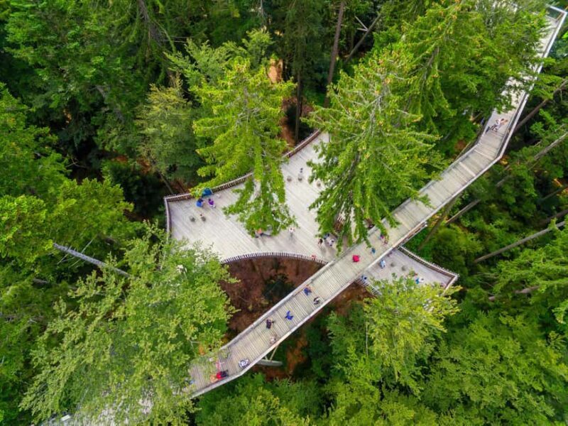 Treetop Walk Bavarian Forest: Discover the world of treetops - Frequently Asked Questions