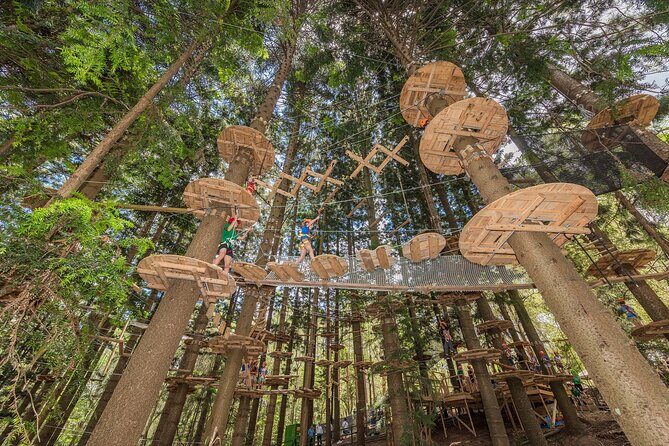 Treetops Adventure The Hills - Tree Ropes Course - What to Expect During Your Adventure