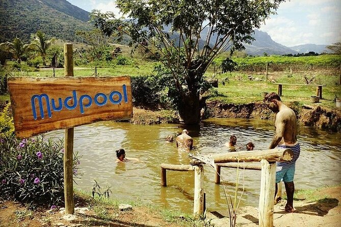 Treetops Zipline, Cave and Mud Spa Combo Tour With Lunch in Fiji - Pricing and Reservation