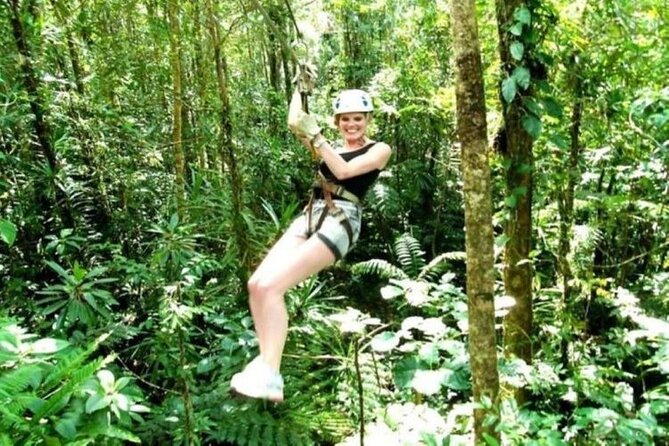 Treetops Zipline & Cave Tour From Coral Coast Hotels With Lunch - Tour Overview