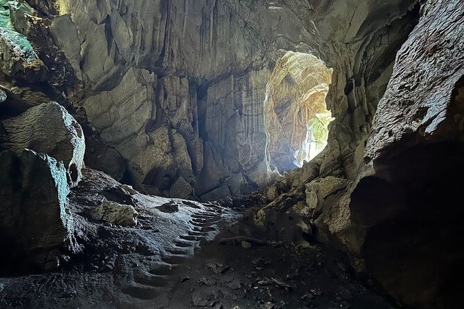 Treetops Zipline & Cave Tour From Coral Coast Hotels With Lunch - Highlights