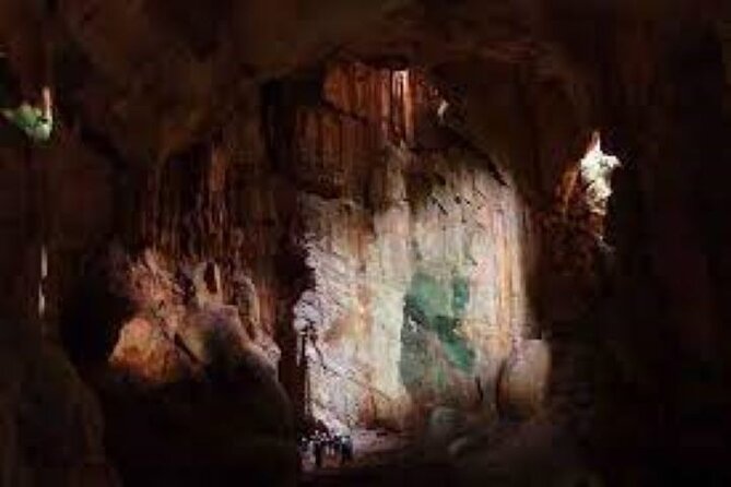 Treetops Zipline & Cave Tour From Coral Coast Hotels With Lunch - Common Questions