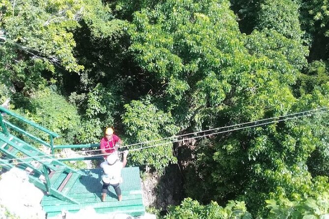 Treetops Zipline Tour With Drop off Transfer to Nadi Airport - Tour Description
