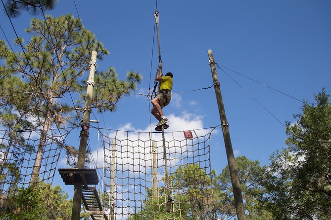 TreeUmph Adventure Course - Overview and Description