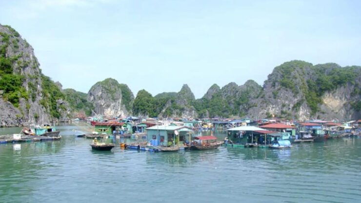 Trek Hoangsuphi Rice Terraces and the Vibrant Bac Ha Market - Daily Itinerary Breakdown