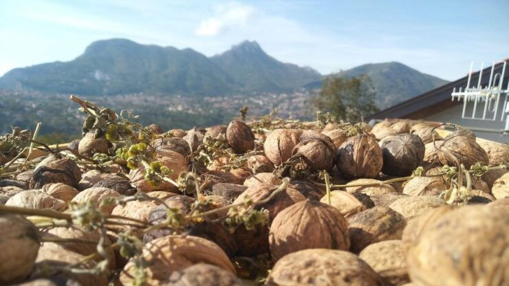 TREK N COOK, Amalfi Coast, Agerola - Booking Information
