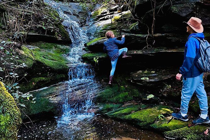 Trek Shoot and Soothe Hiking Tour from Springwood Blue Mountains - Introduction