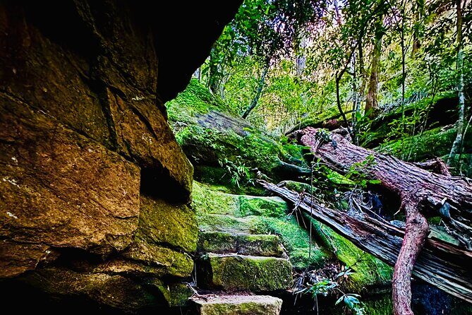 Trek Shoot and Soothe Hiking Tour from Springwood Blue Mountains - Good To Know