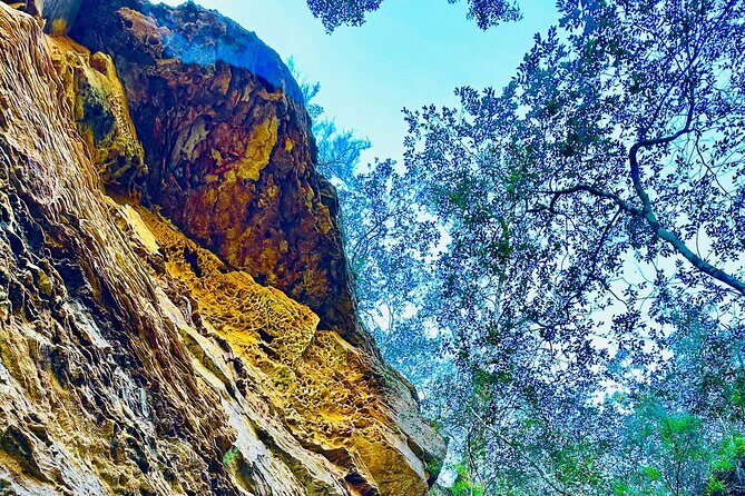 Trek Shoot and Soothe Hiking Tour from Springwood Blue Mountains - Who Is This Tour Best For?