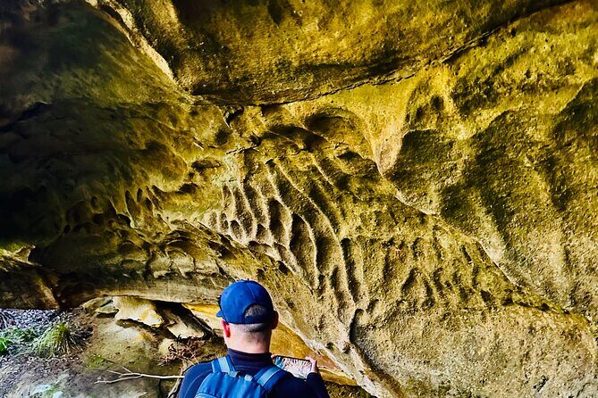 Trek Shoot and Soothe Hiking Tour from Springwood Blue Mountains - The Sum Up