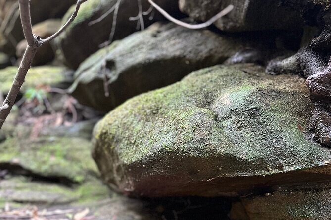 Trek Shoot and Soothe Hiking Tour from Springwood Blue Mountains - FAQ