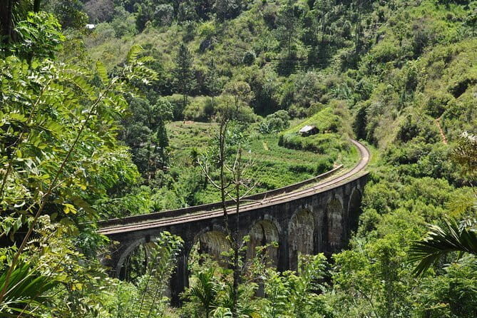 Trek to Little Adam's Peak and Nine Arches Bridge In Ella - Why This Tour Offers Great Value