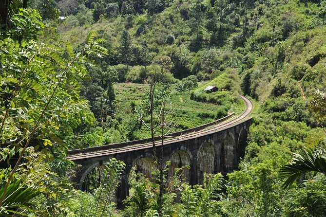 Trek to Little Adam's Peak and Nine Arches Bridge In Ella - Departure Point and Pickup Details
