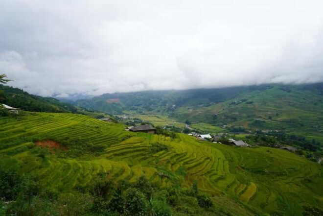 Trek to Local Ethnic Villages & Muong Hoa Valley/Guide/Lunch - Key Highlights