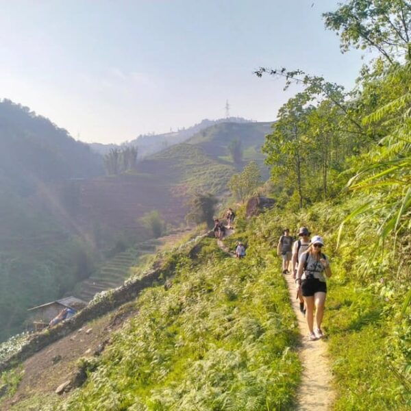 Trek to Local Ethnic Villages & Muong Hoa Valley/Guide/Lunch - Important Considerations