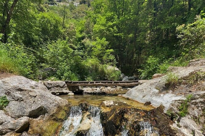 Trek Valle Delle Ferriere With Lunch at Agriturismo Foreporta - What To Expect and Directions
