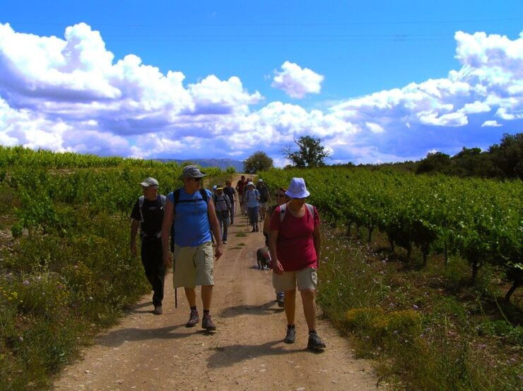 Trek & Wine in Priorat - Activity Details