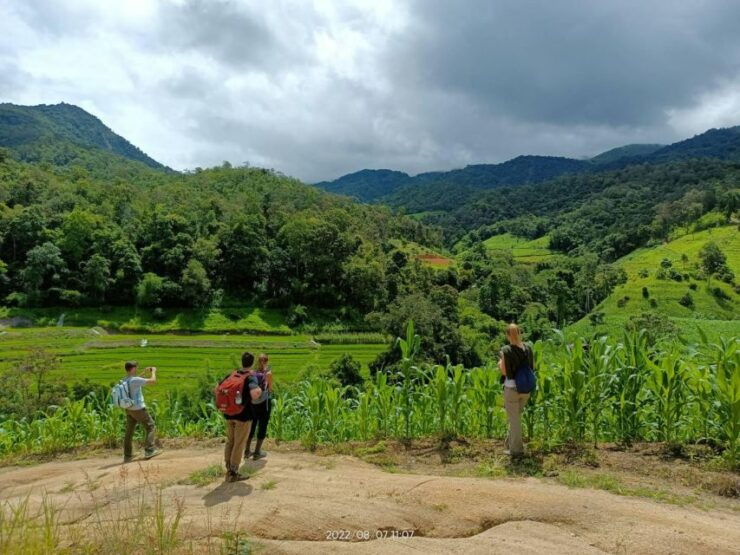 Trekking 2 Days 1 Night With Elephant Care Bamboo Rafting - Elephant Care Experience