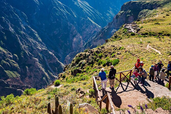 Trekking 2 Days to the Colca Canyon - Reviews