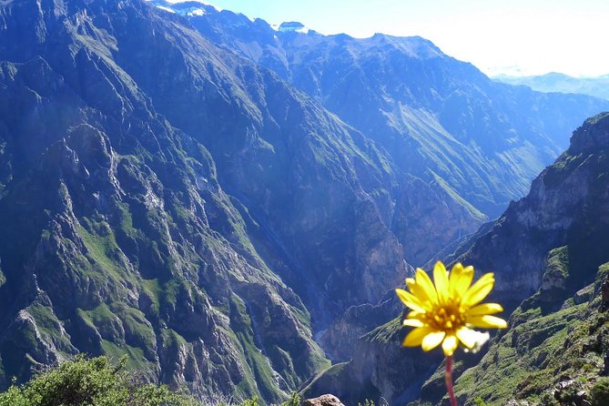 Trekking 2days 1 Night - Meeting and Pickup