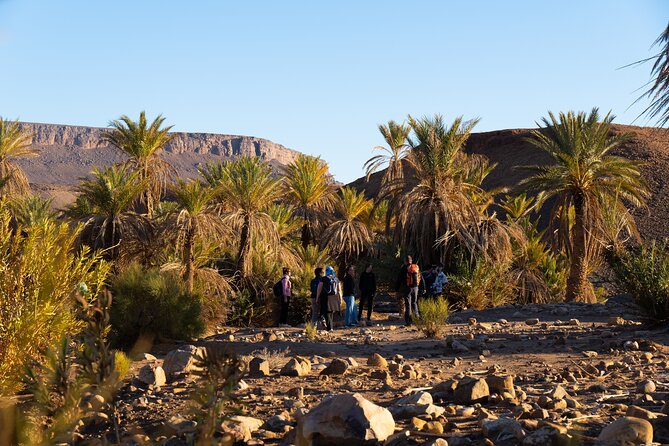 Trekking 8 Days in the Moroccan Desert From Marrakech - Tour Expectations
