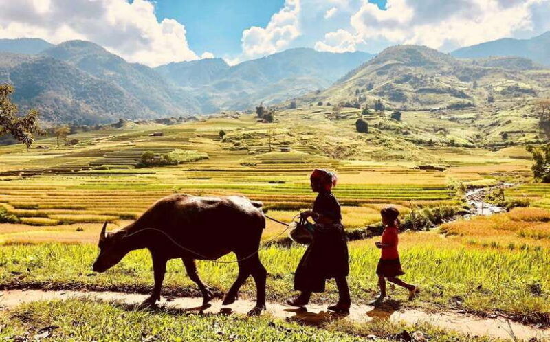 Trekking and Motorbike Full Day in Mu Cang Chai - Good To Know