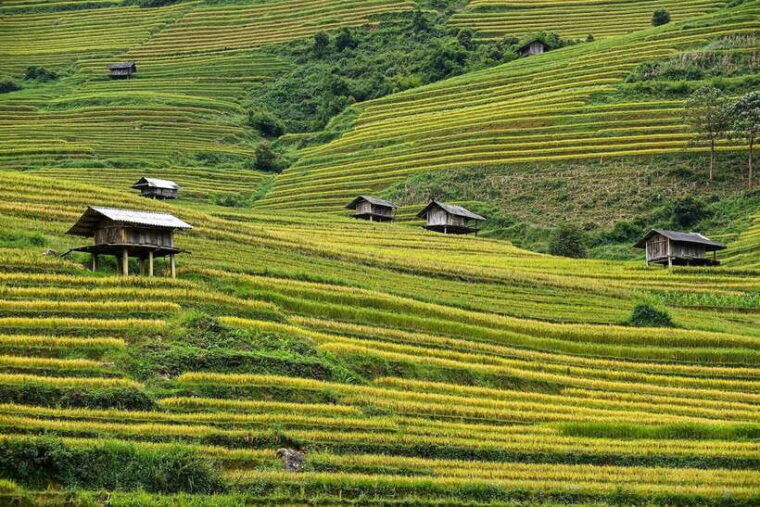 Trekking and Motorbike Full Day in Mu Cang Chai - Discovering the Artistry of Rice Cultivation