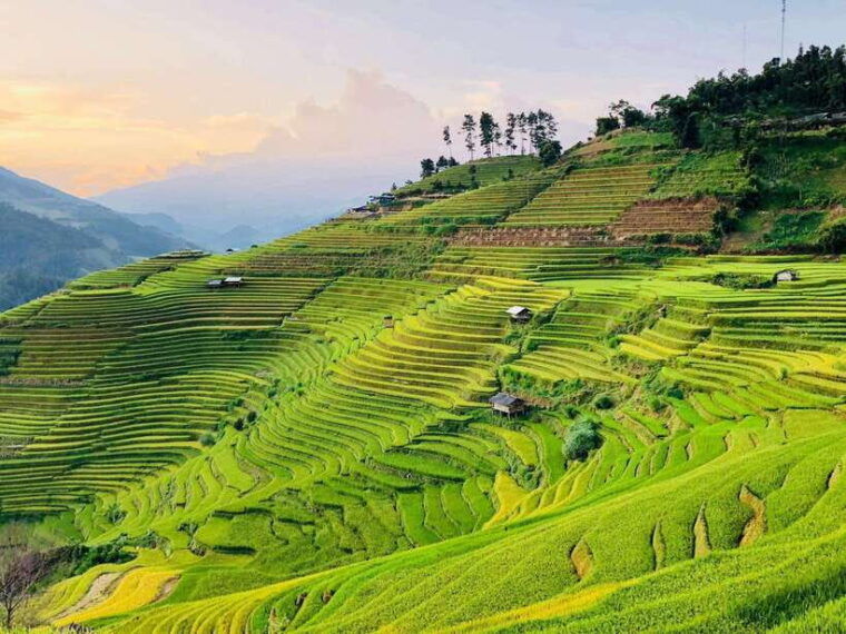 Trekking and Motorbike Full Day in Mu Cang Chai - Trekking Through Picturesque Terraced Rice Fields