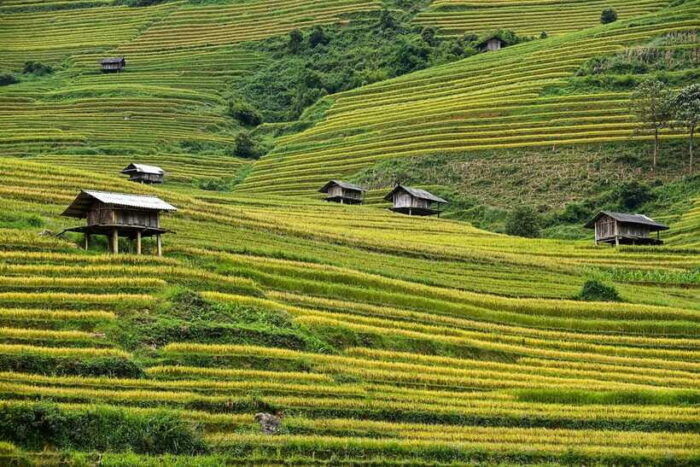Trekking and Motorbike Full Day in Mu Cang Chai - Embarking on a Motorbike Adventure