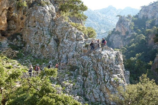 Trekking and Observation of Vultures at Psiloritis Geopark - The Sum Up