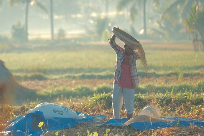 Trekking and Sightseeing Tour With Lunch - Price and Booking Details